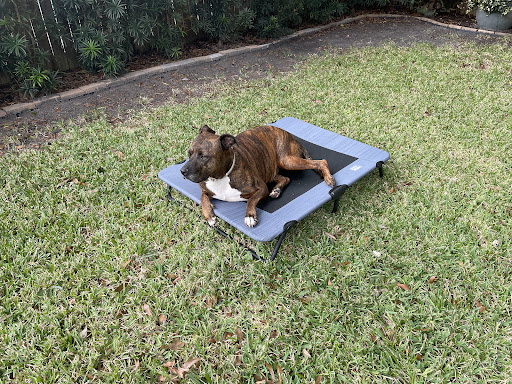 Photo from customer review