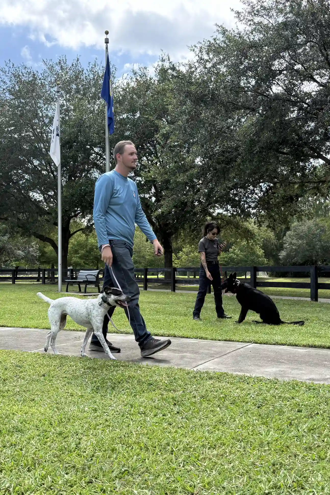 Dog Socialization Training in St Johns