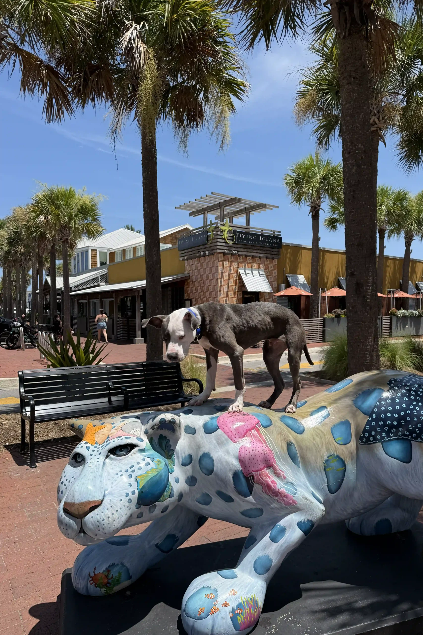 Dog Training Neptune Beach