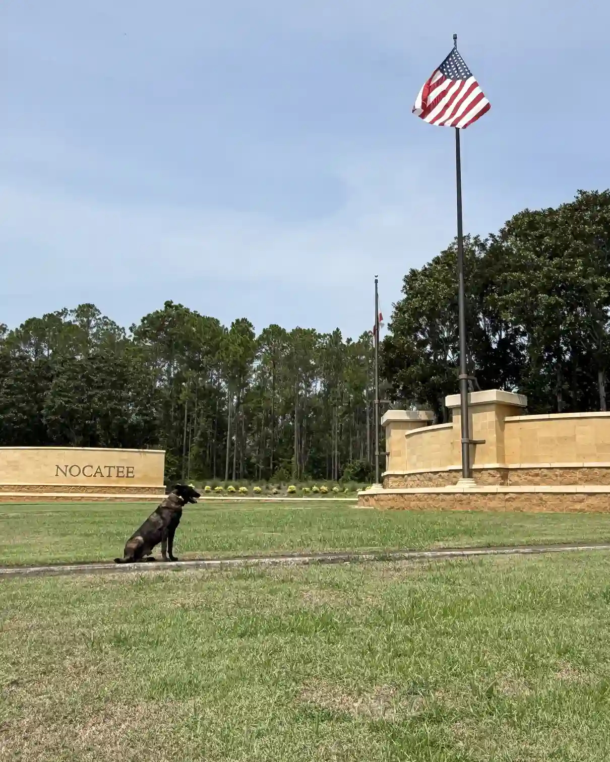 Dog Training Nocatee, FL