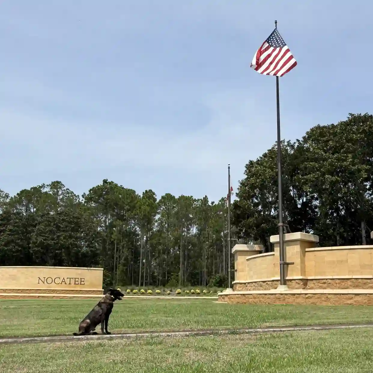 Dog Training in Nocatee, FL