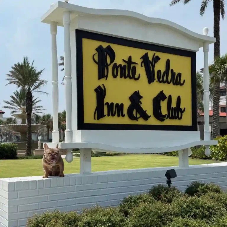 Dog Training in Ponte Vedra FL
