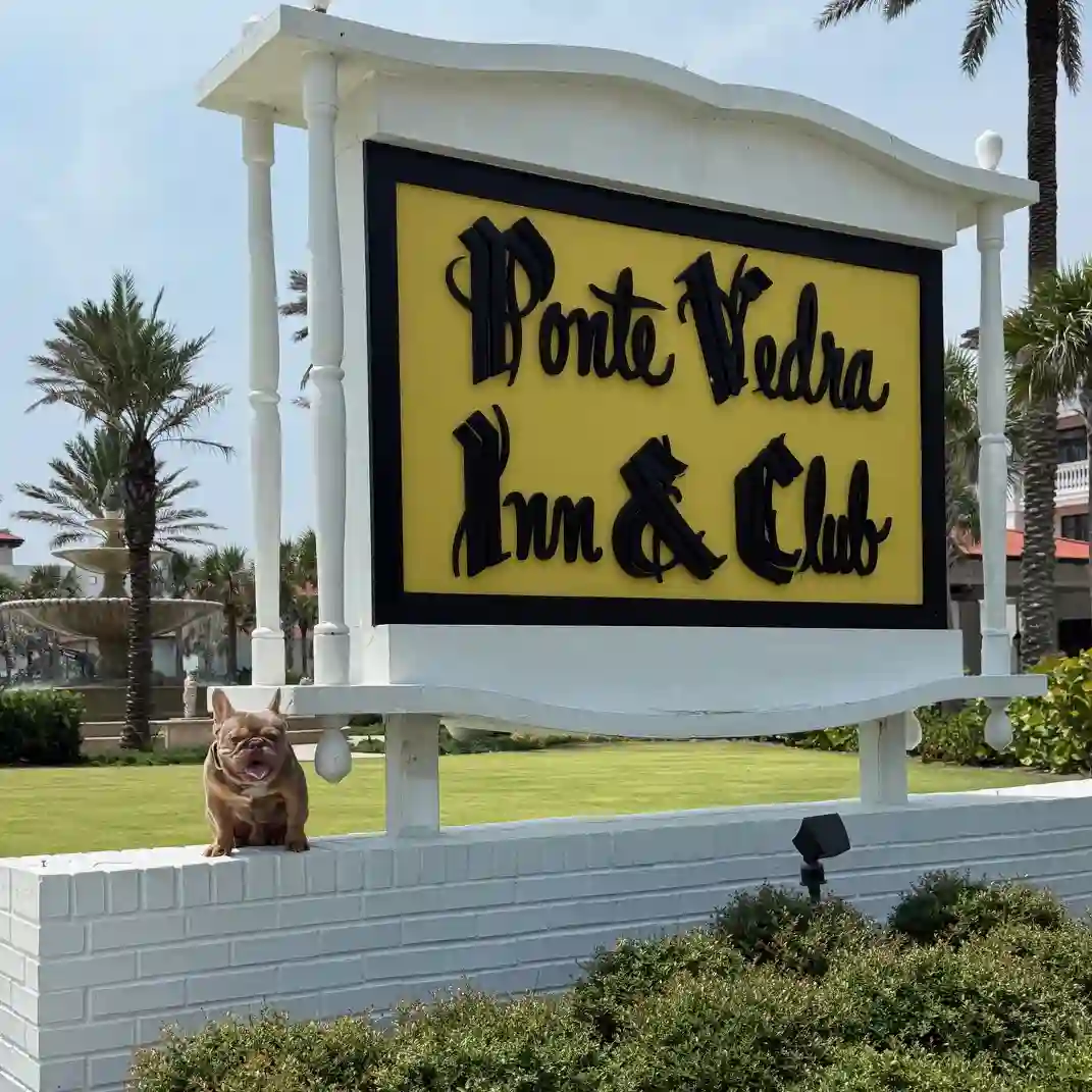 Dog Training in Ponte Vedra FL