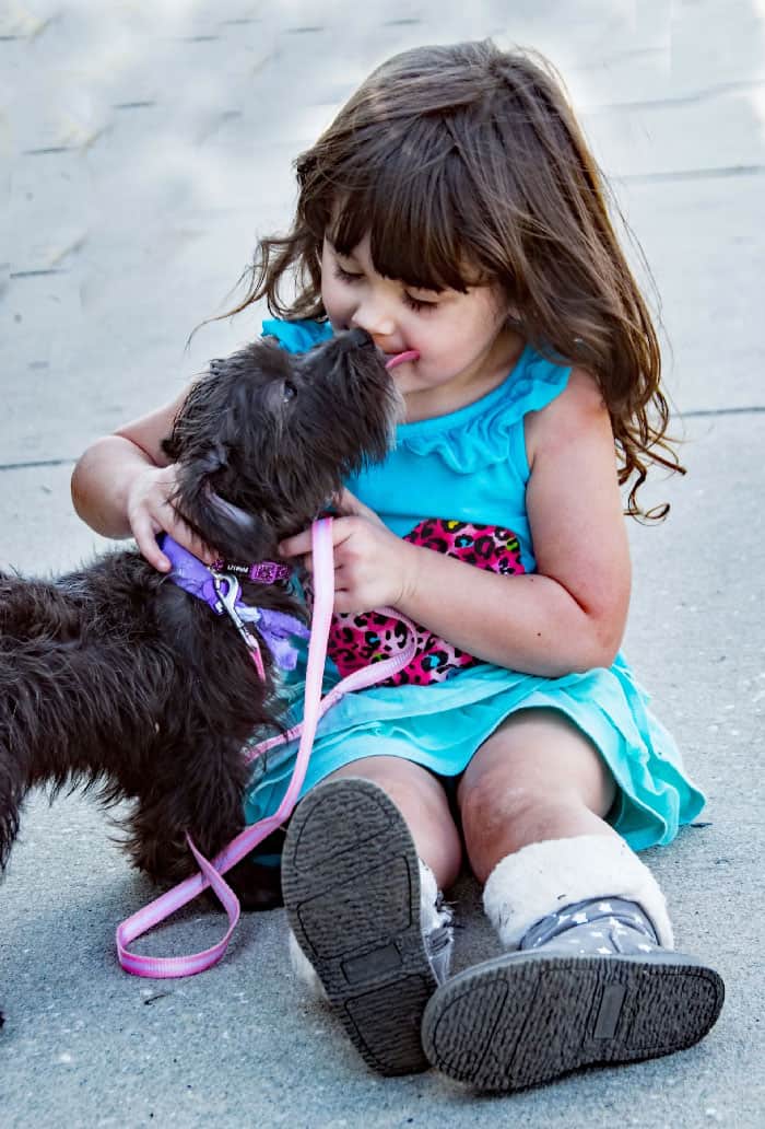 A cute dog interacting with a little girl after being properly trained by Sit Happens.