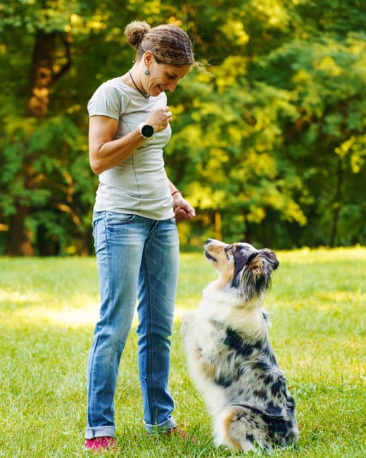 A woman, sharing treats with a well-behaved dog that has been trained well by Sit Happens, Jacksonville.