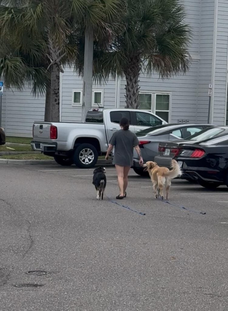 Depicts Lauren Alecca, very happy with the dog training she purchased for her Jacksonville dogs.