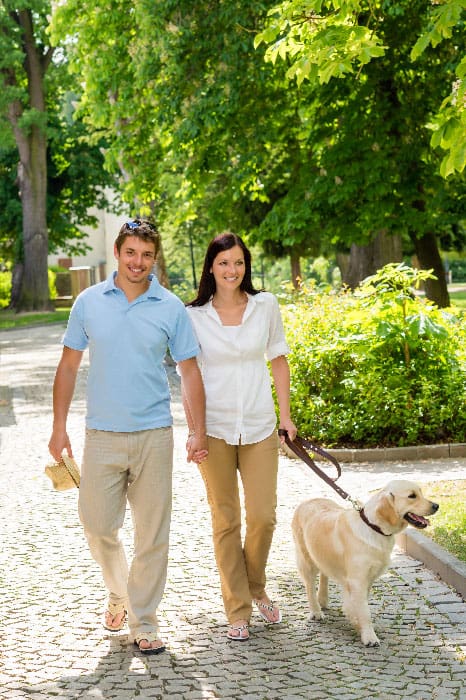 Parents walking their dog calmly after hiring a dog trainer in Jacksonville, FL.
