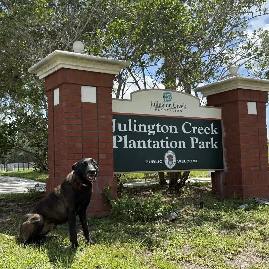 Dog Training at Julington Creek Plantation Park near St Johns